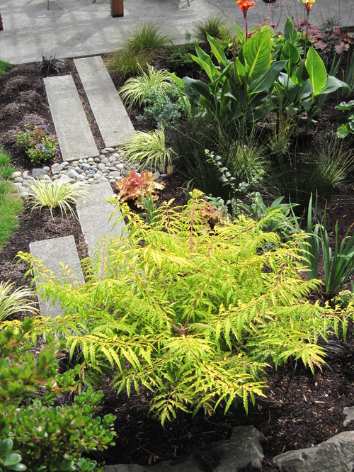 Is A Rain Garden The Answer To All Your Problems?